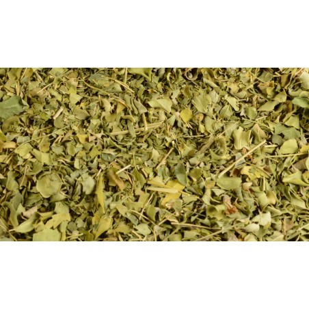 Liście moringa herbata cena 500g