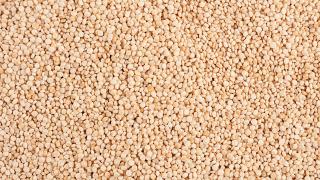 Komosa ryżowa cena 1kg biała Quinoa