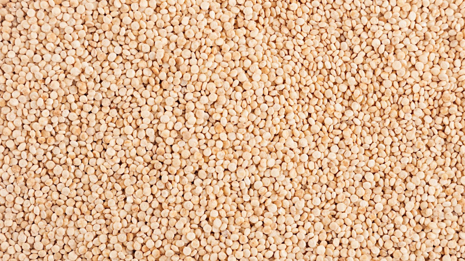 Komosa ryżowa cena 1kg biała Quinoa