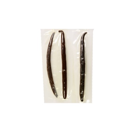 Laska wanilii laski 3 szt Burbon 12-14 cm