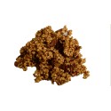 Granola orzechowa - produkt naturalny z orzechami