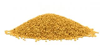 Amarantus cena 1kg ziarno Szarłat nasiona