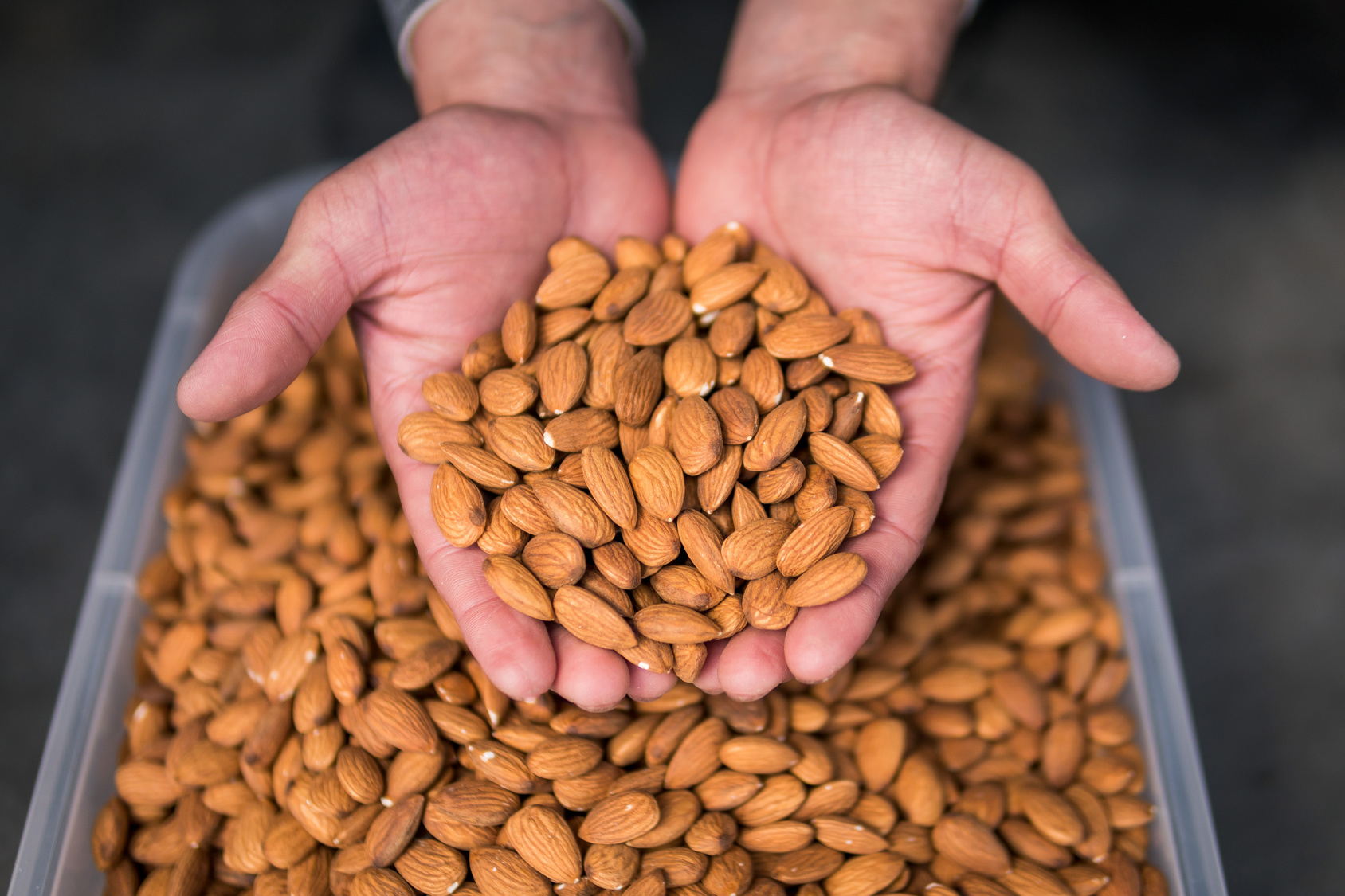 Jak przechowywać migdały? Jak długo są dobre i czy można je jeść po terminie