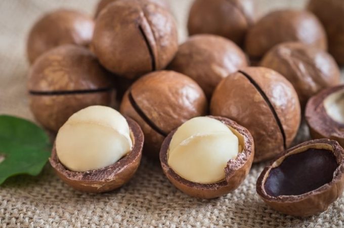 orzechy makadamia w skorupkach