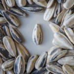 Czy słonecznik zawiera gluten?