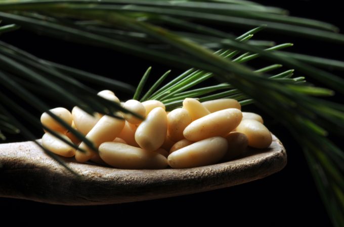 Czy orzeszki piniowe są zdrowe?