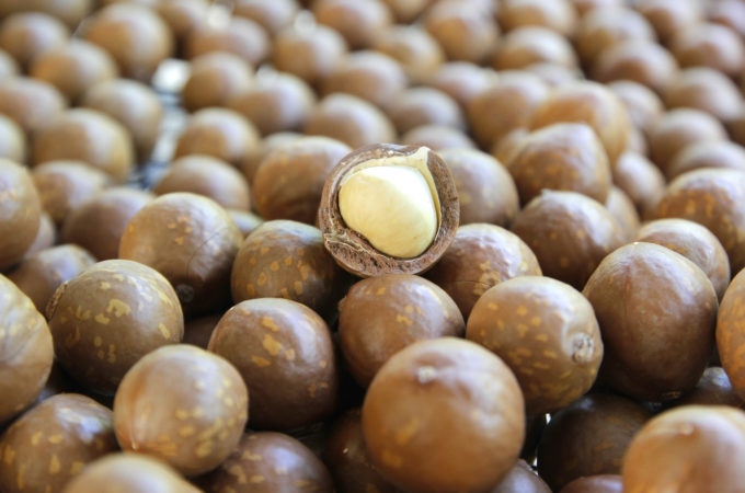 Orzechy makadamia: jak jeść?