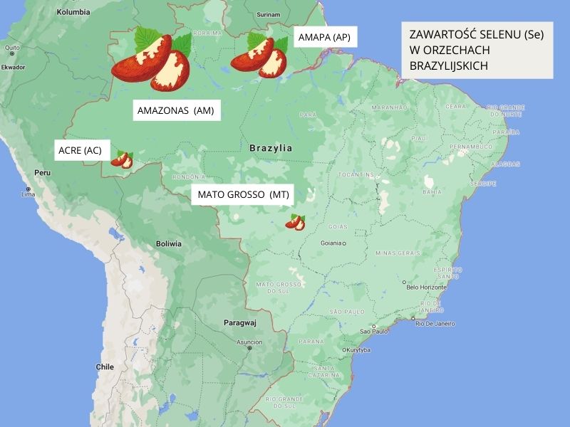 które orzechy mają najwięcej selenu 