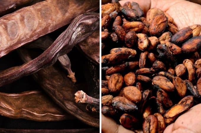 Strąki karobu i ziarna kakaowca