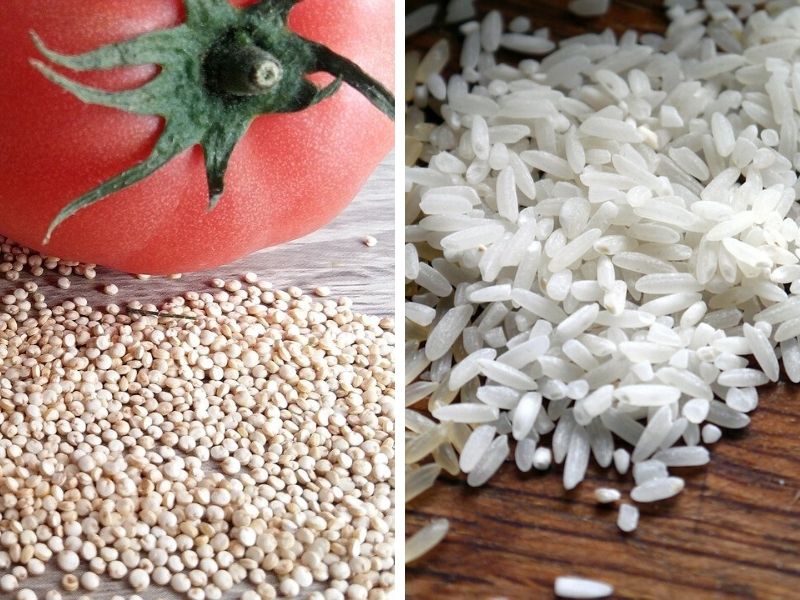 Quinoa czy ryż?