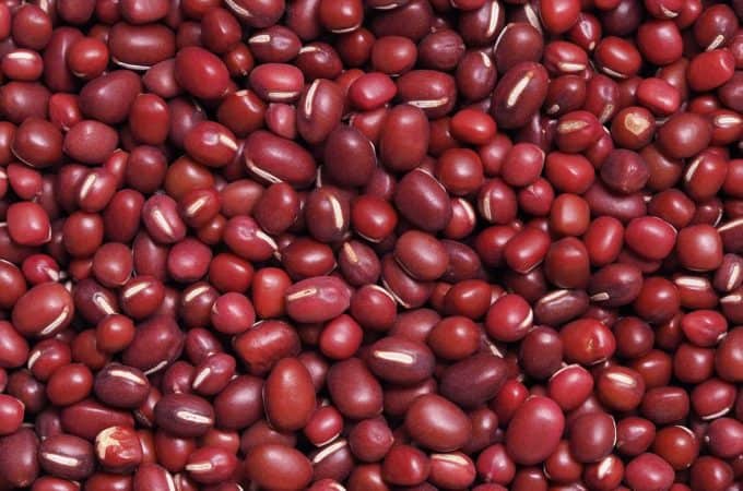 fasola adzuki