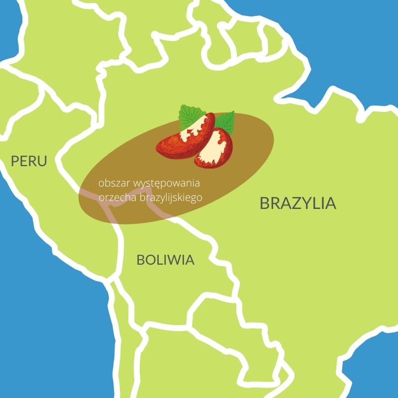 Mapka pokazująca występowanie orzechów brazylijskich