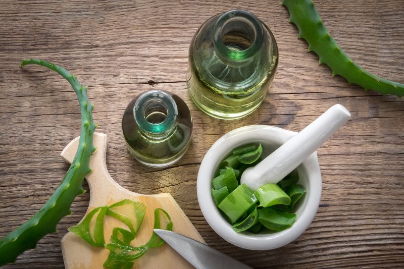 Aloes przedstawiony w różnych postaciach