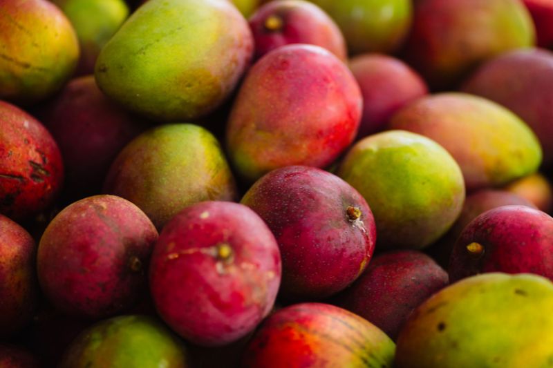 Zbliżenie na dojrzałe owoce mango