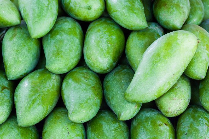 Widok z góry na niedojrzałe owoce mango