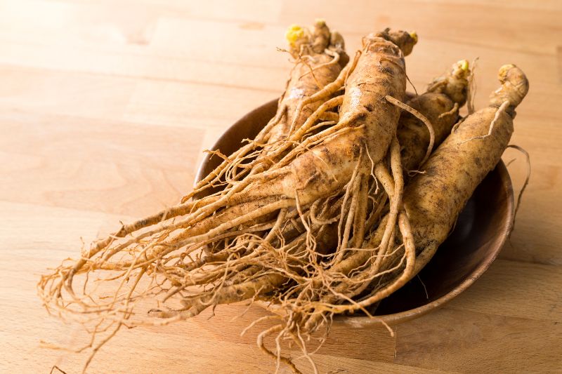 Zbliżenie na korzenie imbiru 