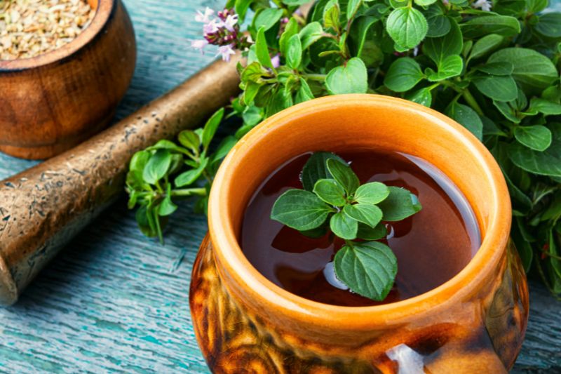 Kubek herbaty z oregano, w tle świeże liście oregano